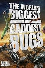 Watch Worlds Biggest and Baddest Bugs Watch123movies