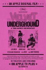 Watch The Velvet Underground Watch123movies