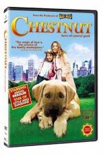 Watch Chestnut - Hero of Central Park Watch123movies