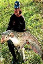 Watch Viking Expedition Watch123movies