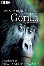 Watch Gorilla Revisited with David Attenborough Watch123movies
