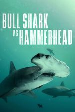 Watch Bull Shark vs Hammerhead Watch123movies