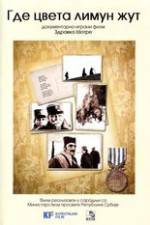 Watch Where the Yellow Lemon Blooms Watch123movies