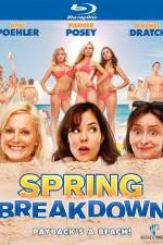 Watch Spring Breakdown Watch123movies