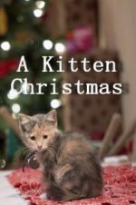 Watch A Kitten Christmas Watch123movies