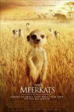 Watch The Meerkats Watch123movies
