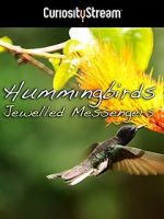 Watch Hummingbirds Jewelled Messengers Watch123movies