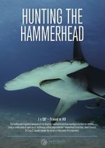 Watch Hunting the Hammerhead Watch123movies