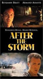 Watch After the Storm Watch123movies
