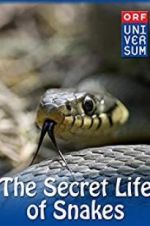 Watch The Secret Life of Snakes Watch123movies