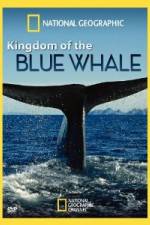 Watch National Geographic Kingdom of Blue Whale Watch123movies