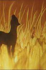 Watch The Cat Who Walked by Herself Watch123movies