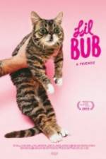 Watch Lil Bub & Friendz Watch123movies