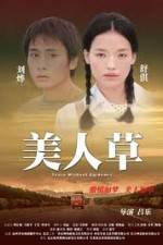 Watch The Foliage Watch123movies