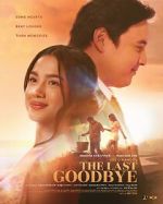 Watch The Last Goodbye Watch123movies