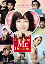 Watch Finding Mr. Destiny Watch123movies