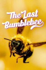 Watch The Last Bumblebee Watch123movies