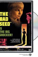 Watch The Bad Seed Watch123movies