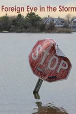 Watch Foreign Eye in the Storm Watch123movies