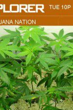 Watch Marijuana Nation Watch123movies