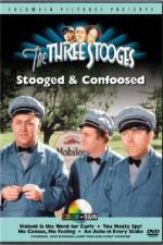 Watch No Census No Feeling Watch123movies