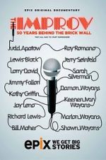 Watch The Improv: 50 Years Behind the Brick Wall (TV Special 2013) Watch123movies