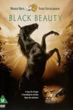Watch Black Beauty Watch123movies