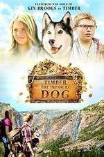 Watch Timber the Treasure Dog Watch123movies