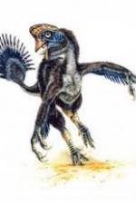 Watch National Geographic Wild : Evolutions Last Living Dinosaur Watch123movies