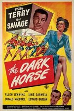 Watch The Dark Horse Watch123movies