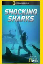Watch Shocking Sharks Watch123movies
