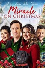 Watch Miracle on Christmas Watch123movies