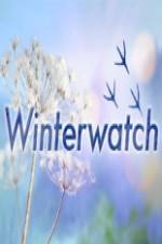 Watch Winterwatch Watch123movies