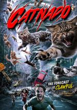 Watch Catnado Watch123movies