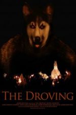 Watch The Droving Watch123movies