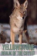 Watch Yellowstone: Realm of the Coyote Watch123movies