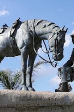 Watch War Horse: The Real Story Watch123movies