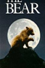 Watch The Bear - (L'ours) Watch123movies
