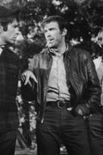 Watch The Devil's 8 Watch123movies