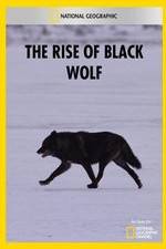 Watch The Rise of Black Wolf Watch123movies