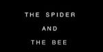 Watch The Spider and the Bee Watch123movies