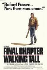Watch Final Chapter Walking Tall Watch123movies