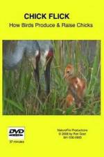 Watch Chick Flick How Birds Produce and Raise Chicks Watch123movies