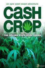 Watch Cash Crop Watch123movies