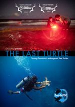 Watch The Last Turtle (Short 2019) Watch123movies