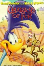 Watch Ready Woolen and Able Watch123movies