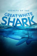 Watch Secrets of the Great White Shark Watch123movies