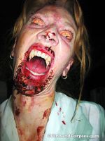 Watch Dracula\'s Sorority Sisters Watch123movies