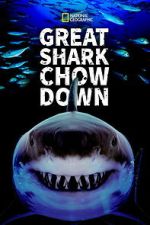 Watch Great Shark Chow Down Watch123movies