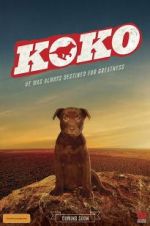 Watch Koko: A Red Dog Story Watch123movies